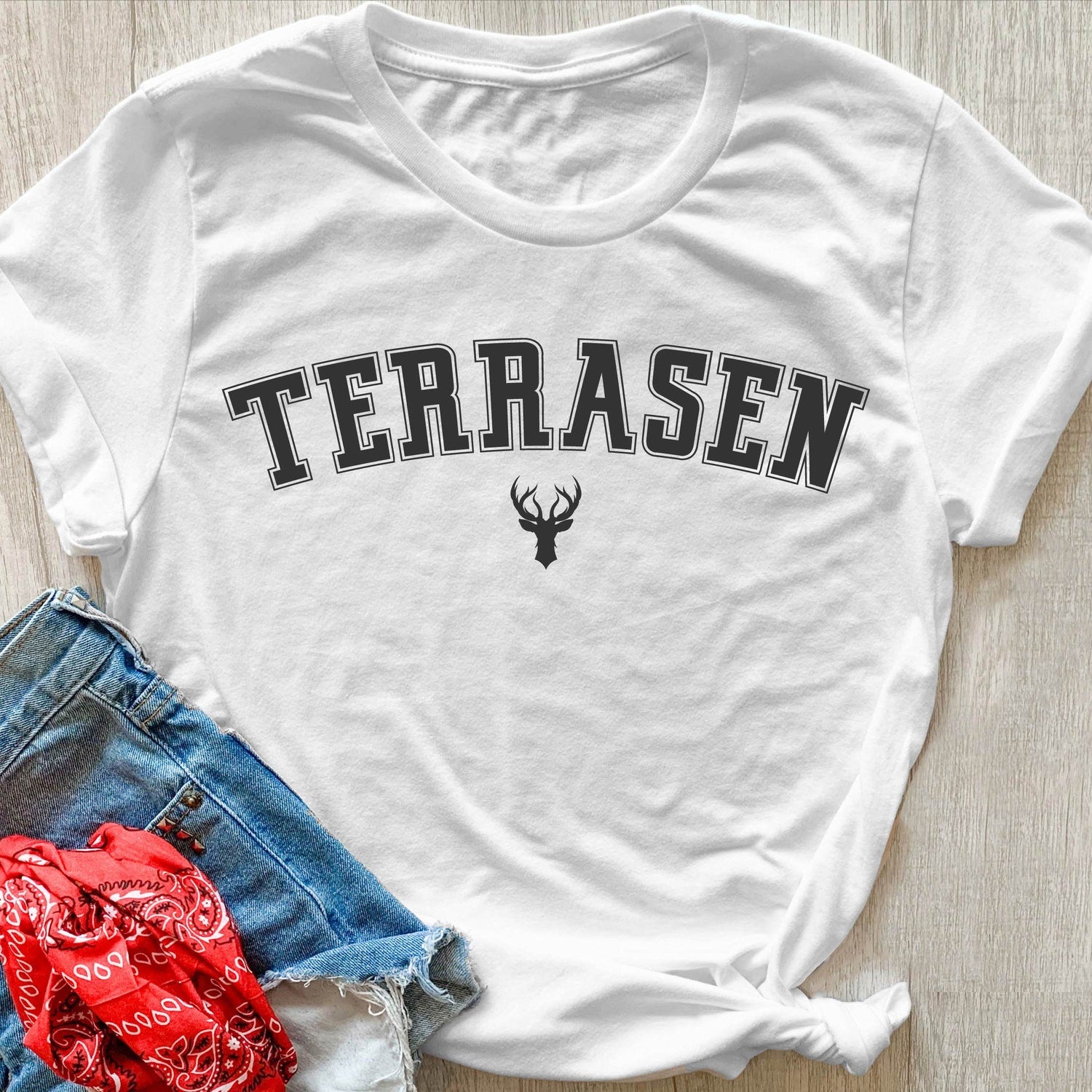 (TOG) -  Terrasen Sweatshirt, ACOTAR Shirt, Terrasen Shirt, The City of Starlight, Gift For The Rhysand Fan Girl, Throne of Glass, Night Court Shirt