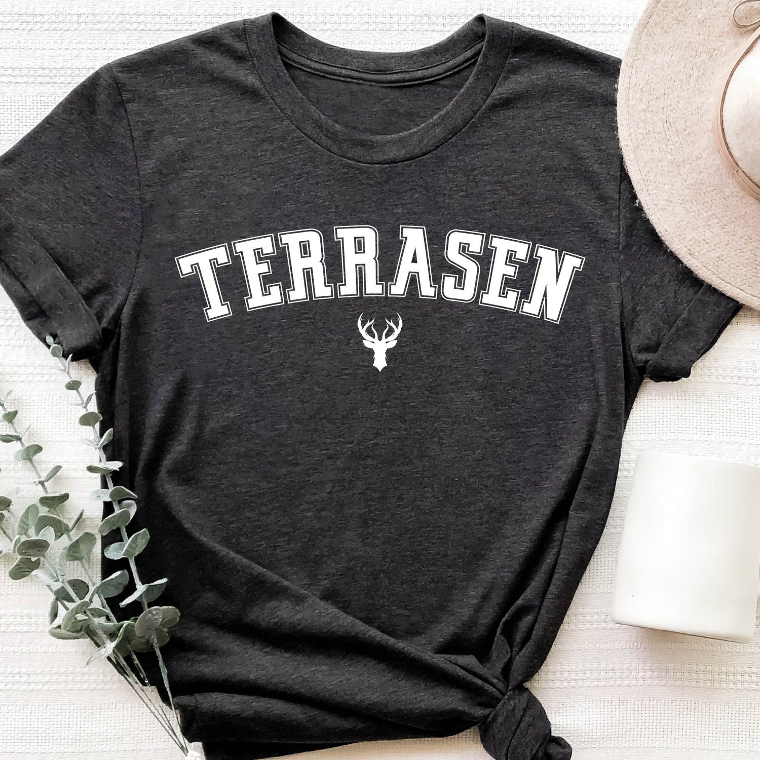 (TOG) -  Terrasen Sweatshirt, ACOTAR Shirt, Terrasen Shirt, The City of Starlight, Gift For The Rhysand Fan Girl, Throne of Glass, Night Court Shirt